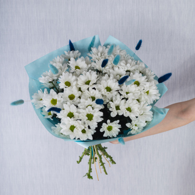 Букет 7 кустовых хризантем с лагурусом 35810