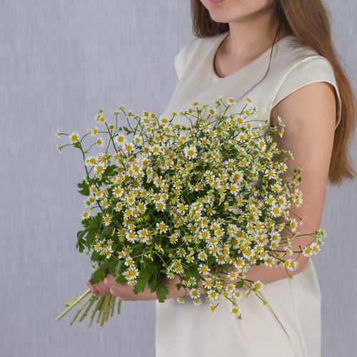 Букет"Ромашковое поле" с танацетум
