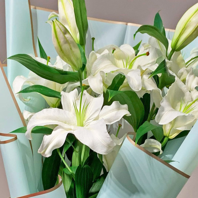 Букет из трех белых лилий №51493-Дв