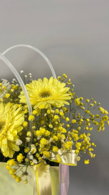 Композиция в сумочке с гермини "Маленькая страна"