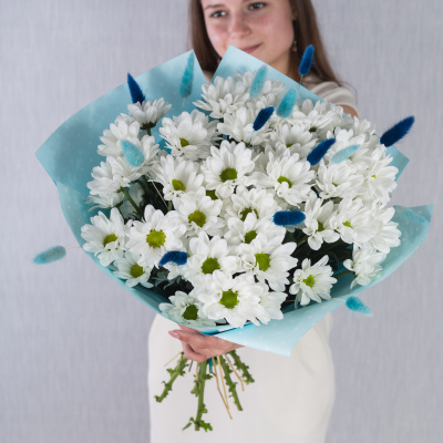 Букет 7 кустовых хризантем с лагурусом 35810