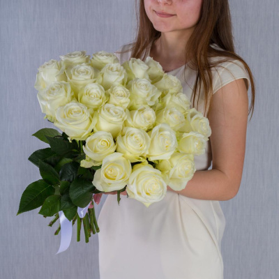 Моно букет 25 белых роз Эквадор 80см