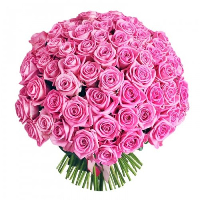 Букет из 101 розовой розы Эквадор 60 см.