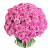 Букет из 101 розовой розы Эквадор 60 см.