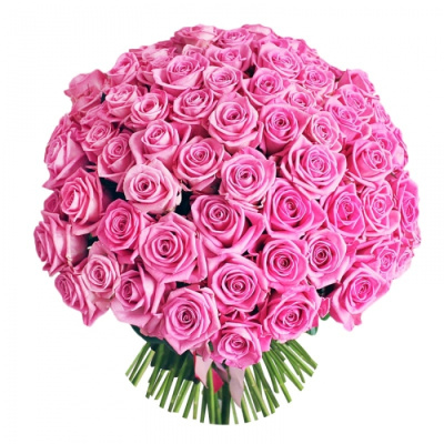 Букет из 101 розовой розы Эквадор 60 см.