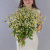 Букет "Счастливая семья" с ромашками танацетум 50581
