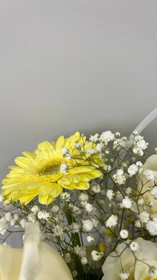 Композиция в сумочке с гермини "Маленькая страна"